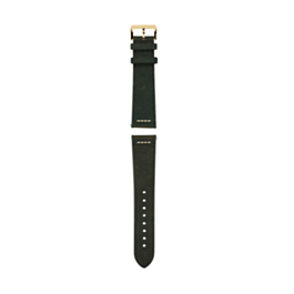 Rado Rado Green leather strap 70 g