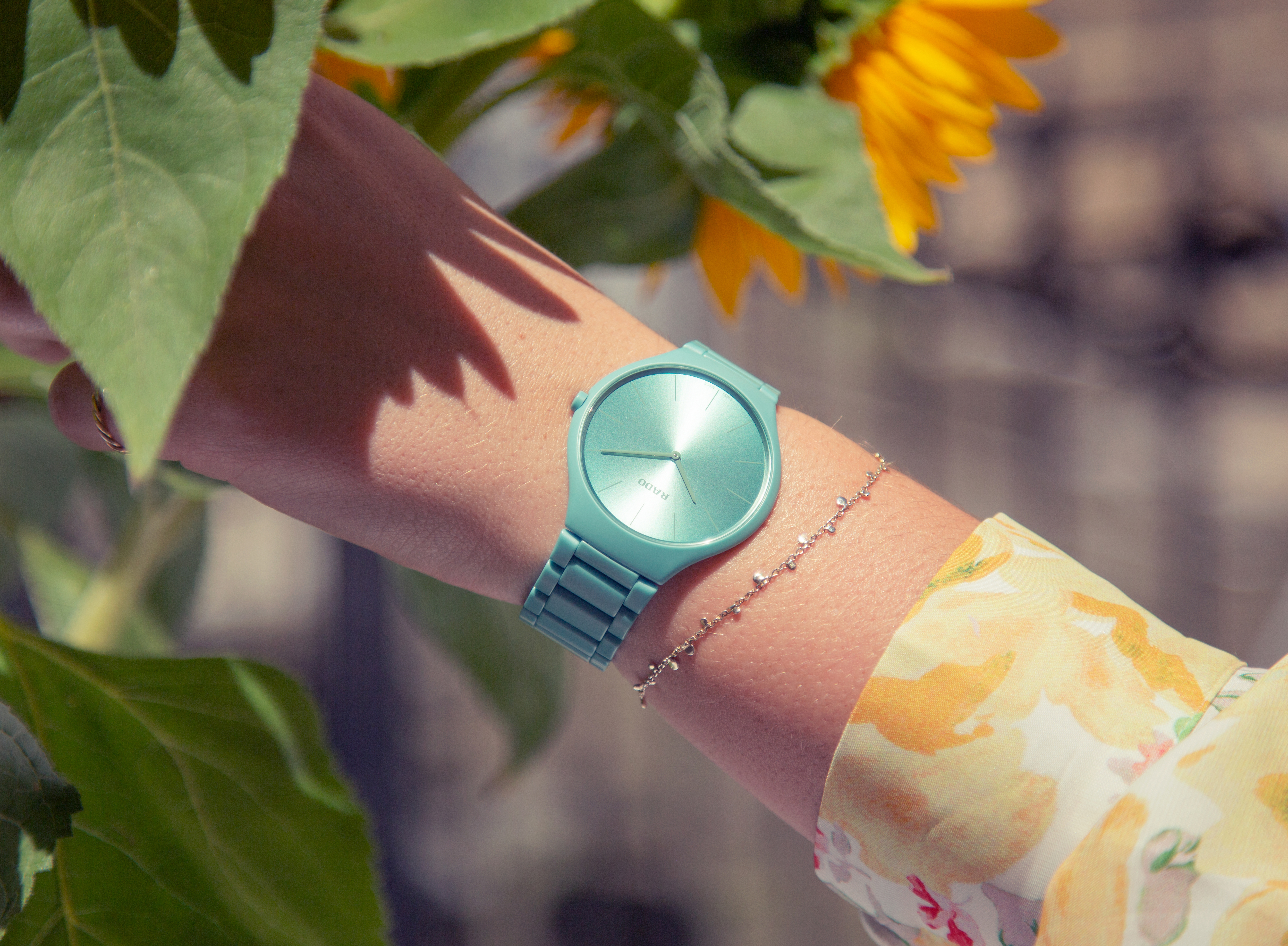 画期的なカラーセオリー